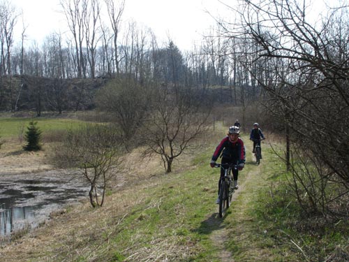 Mountainbike Harz