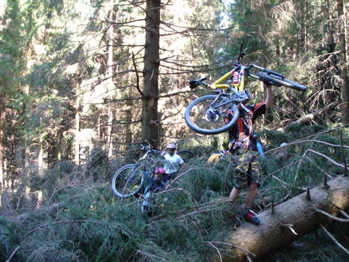 Mountainbike Harz