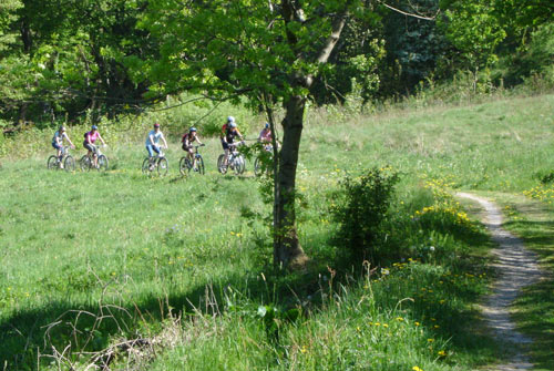 Mountainbike Harz