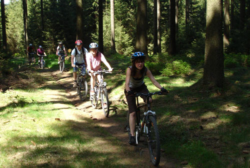 Mountainbike Harz