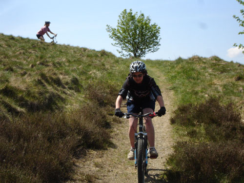 Mountainbike Harz