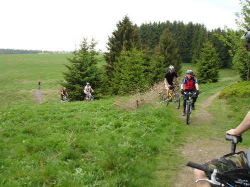 Mountainbike Harz