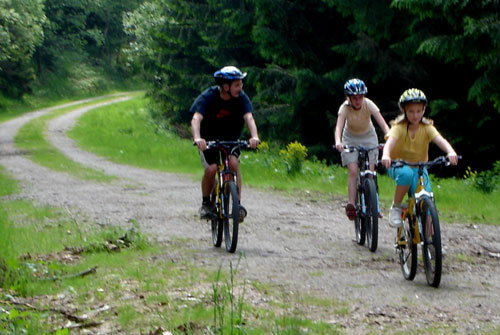 Mountainbike Harz