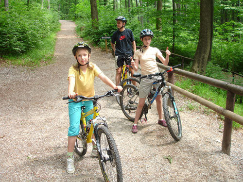 Mountainbike Harz