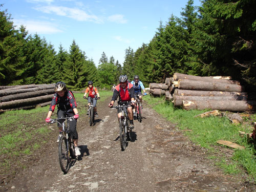 Mountainbike Harz