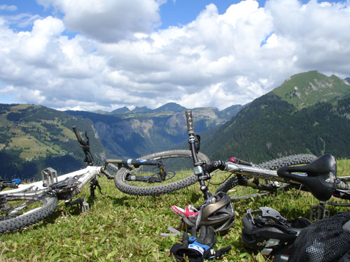 Mountainbike Harz