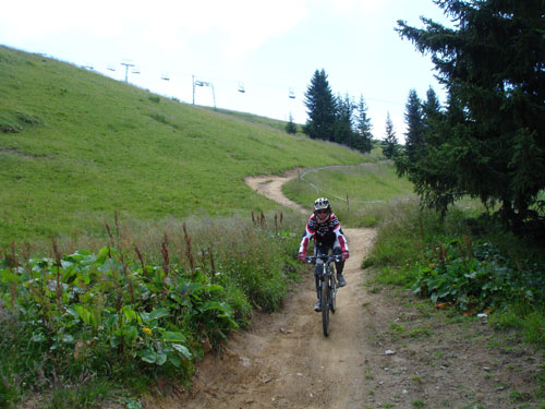 Mountainbike Harz