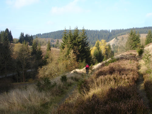 Mountainbike Harz