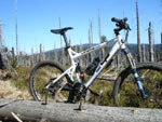 Mountainbiken Harz