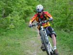 Mountainbiken Harz