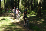 Mountainbiken Harz