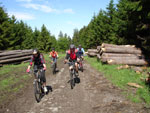 Mountainbiken Harz