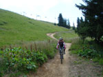 Mountainbiken Harz