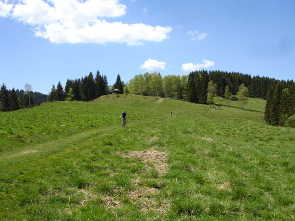 Mountainbiken Harz, Froehlich-Harz