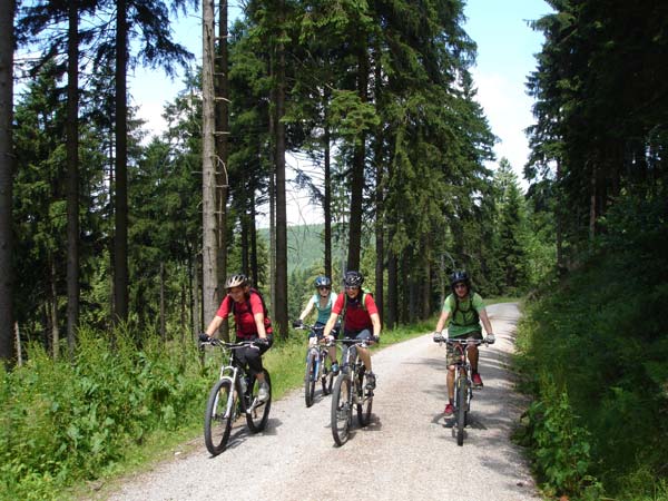 Mountainbiken Harz, Froehlich-Harz