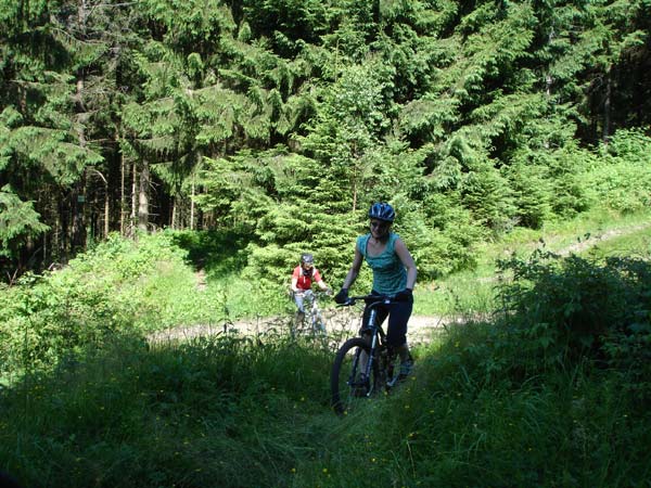 Mountainbiken Harz, Froehlich-Harz