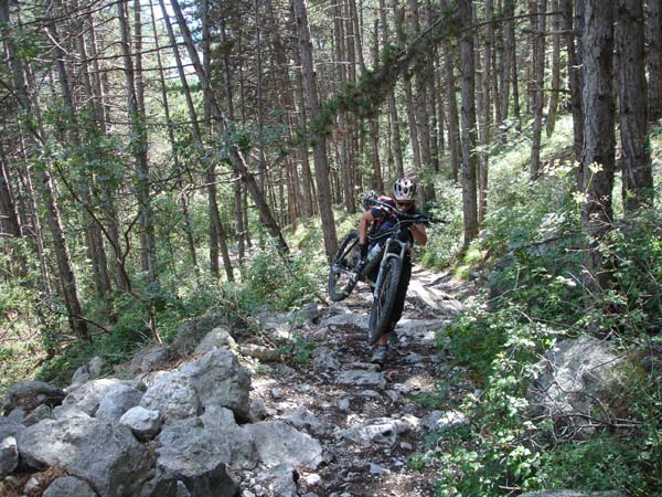 Mountainbiken Harz, Froehlich-Harz