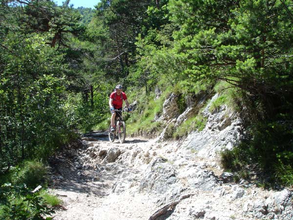 Mountainbiken Harz, Froehlich-Harz