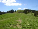 Mountainbiken Harz