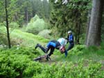 Mountainbiken Harz