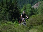 Mountainbiken Harz