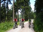 Mountainbiken Harz