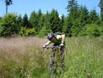 Mountainbiken Harz