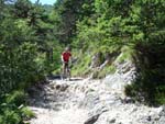 Mountainbiken Harz