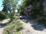 Mountainbiken Harz