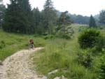 Mountainbiken Harz