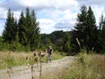 Mountainbiken Harz