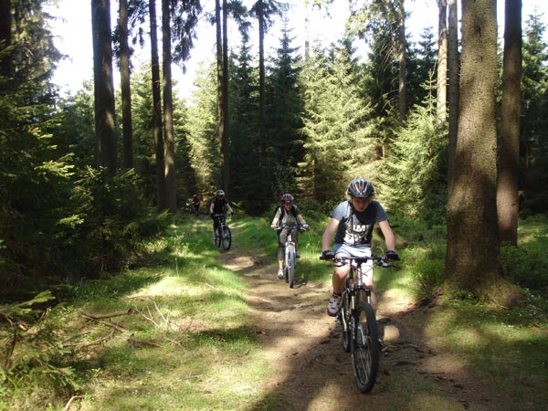 Mountainbiken Harz, Froehlich-Harz, Bad Grund, oberhalb Hahnebalzer Teich