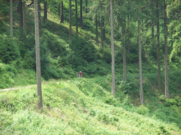 Mountainbiken Harz, Froehlich-Harz, Bad Grund