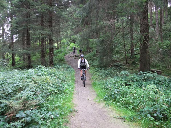 Mountainbiken Harz, Froehlich-Harz, Bad Grund, Spiegelthal