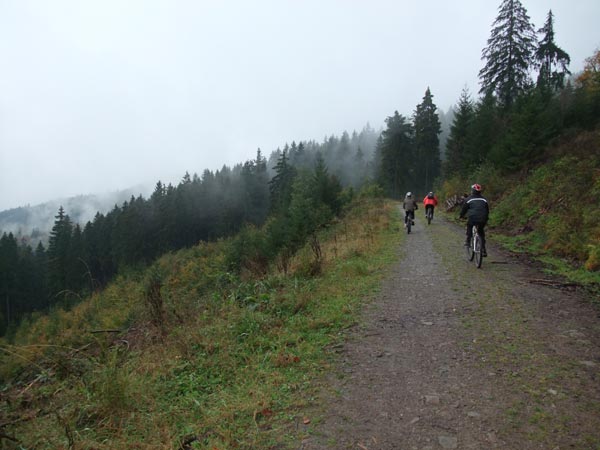 Mountainbiken Harz, Froehlich-Harz, Bad Grund