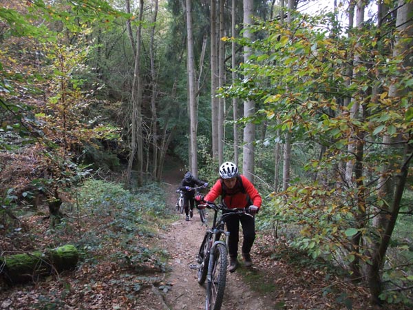 Mountainbiken Harz, Froehlich-Harz, Bad Grund, Mosel