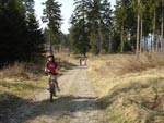 Mountainbiken Harz