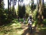 Mountainbiken Harz