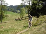 Mountainbiken Harz