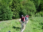 Mountainbiken Harz