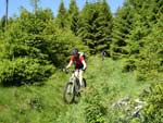 Mountainbiken Harz