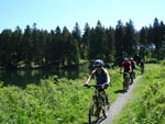 Mountainbiken Harz