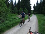 Mountainbiken Harz