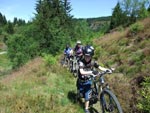 Mountainbiken Harz