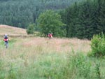 Mountainbiken Harz