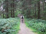 Mountainbiken Harz- Froehlich-Harz