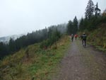 Mountainbiken Harz, Bad Grund, Froehlich-Harz