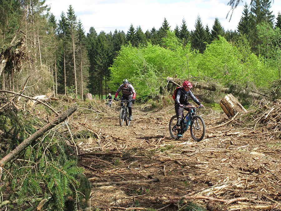 Mountainbike Touren Harz, Froehlich Harz