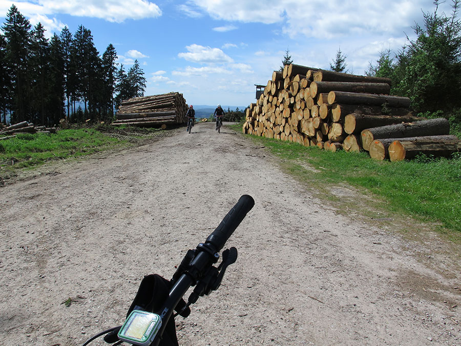 Mountainbike Touren Harz, Froehlich Harz