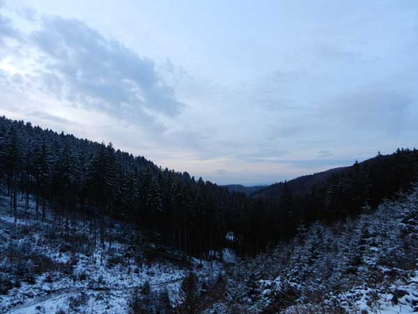 Ferienwohnung Harz, Harz Urlaub, froehlich-harz, bad grund